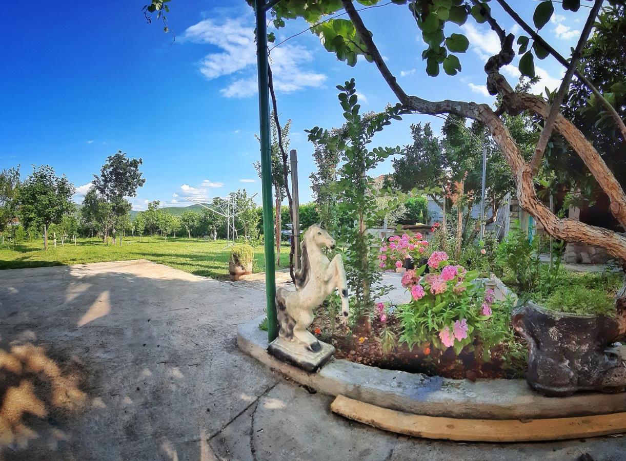 Villa Mimoza Blagaj Ngoại thất bức ảnh