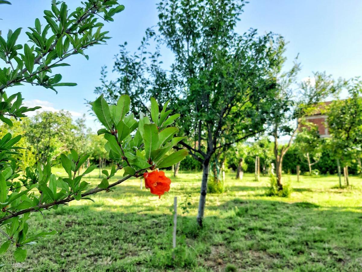 Villa Mimoza Blagaj Ngoại thất bức ảnh